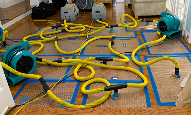 Professional Sewage Cleanup technician working in Godfrey, IL
